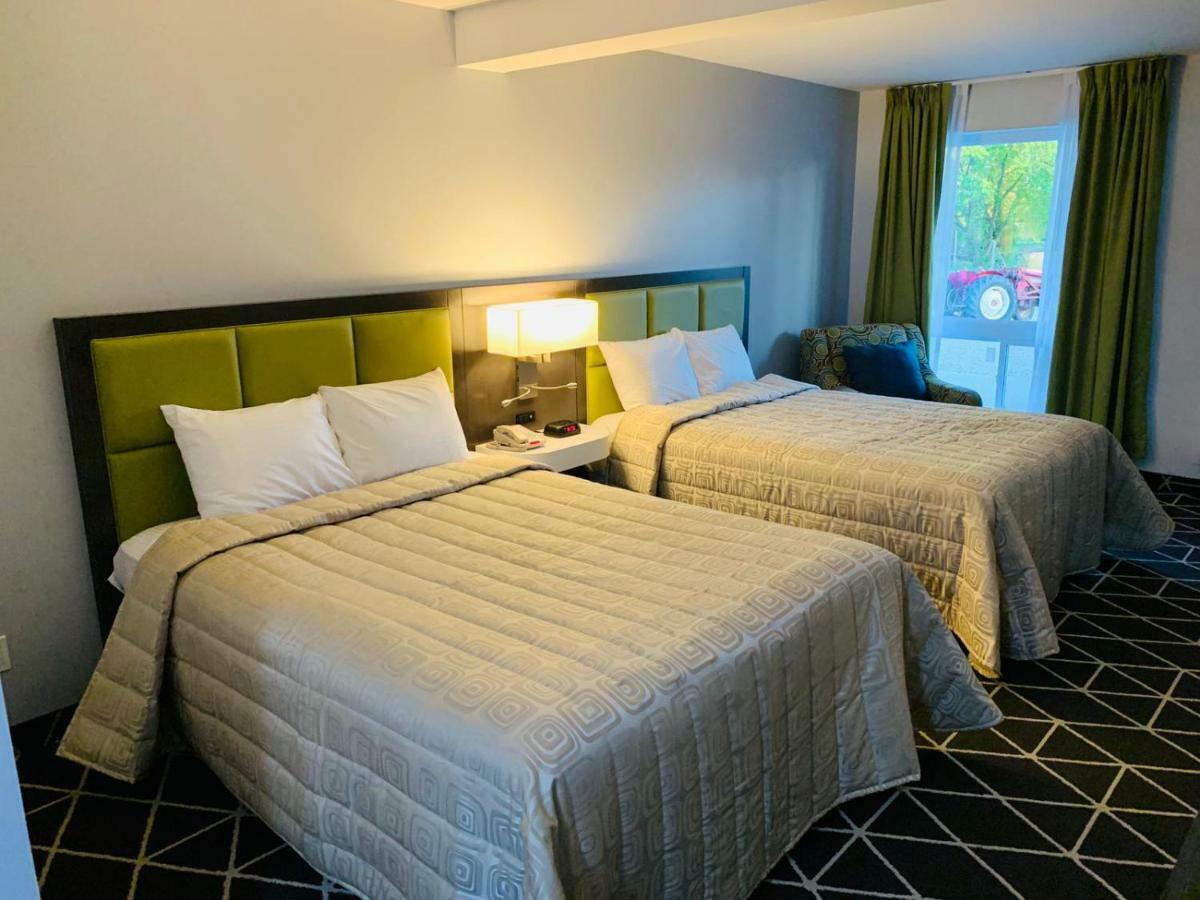 Hotel King Palmerston
