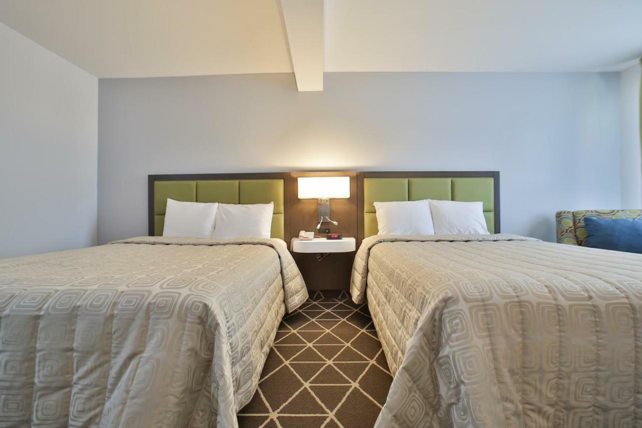 Hotel King Palmerston